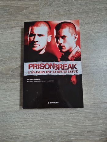Prison Break L'évasion est la seule issue, Pierre Serisier