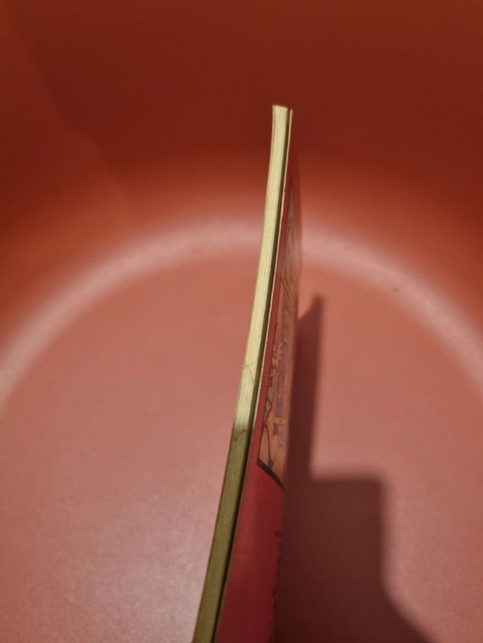 La jeunesse de Richard crèvecœur De Peter pluut les humanoïdes associés. 1984 - photo numéro 5