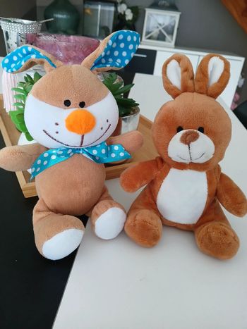 Lot péluche Lapin🌿🎁