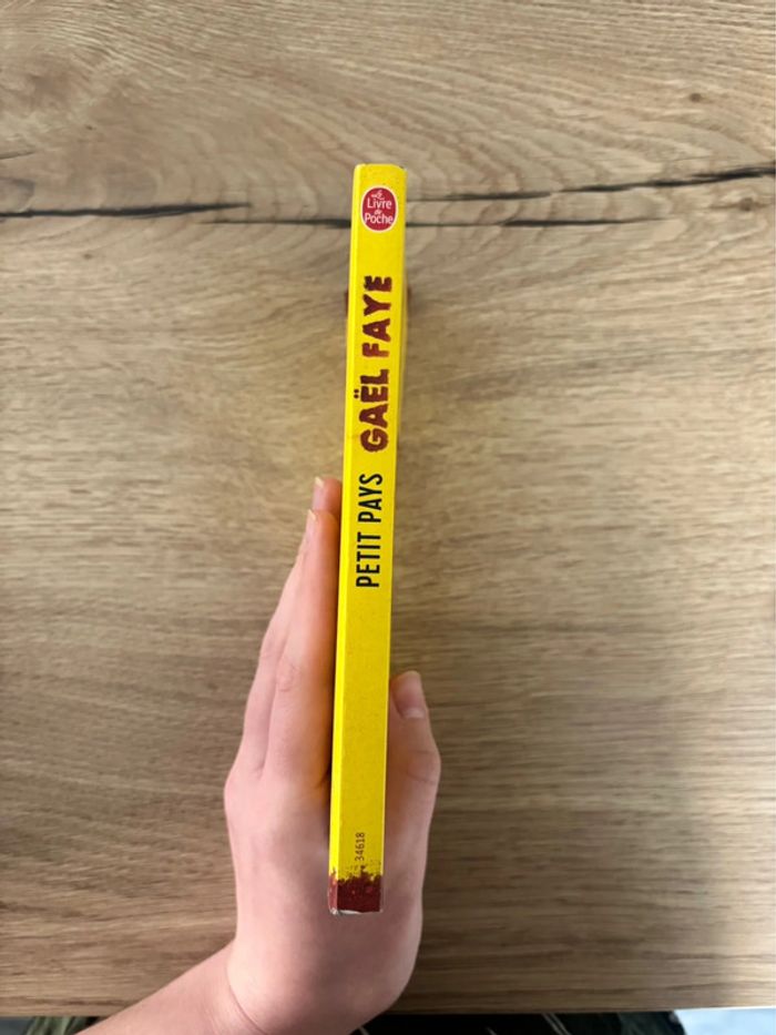 Livre Petit Pays Gaël Faye - photo numéro 3