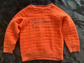 Sweat garçon Petit bateau 5 ans