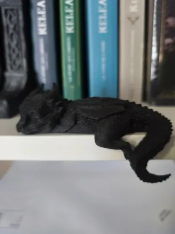Dragon Endormi Noir