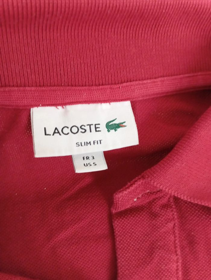 Polo Lacoste authentique - photo numéro 3