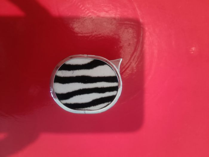 Briquet zèbre