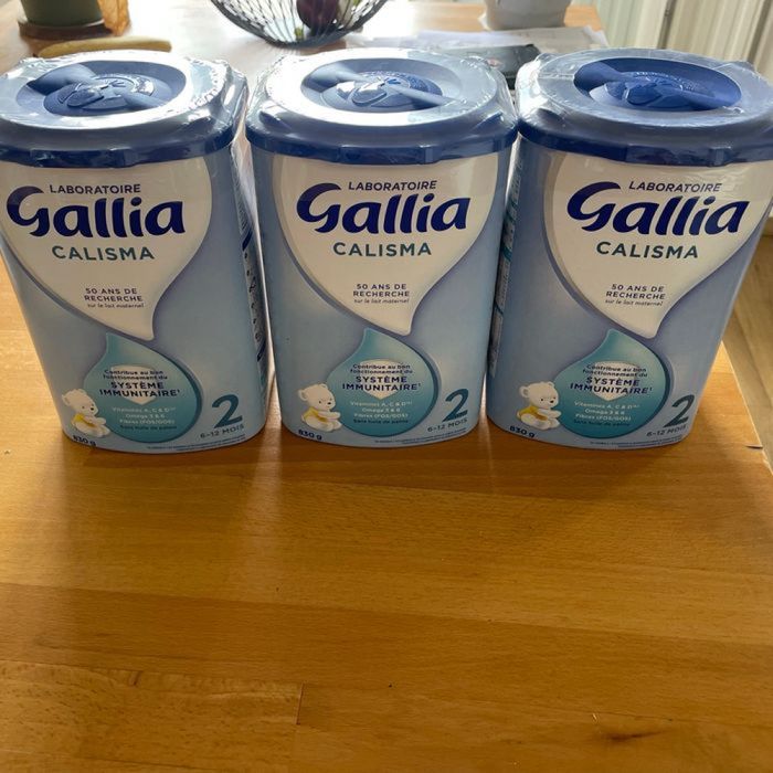 Gallia calisma 2 - photo numéro 2