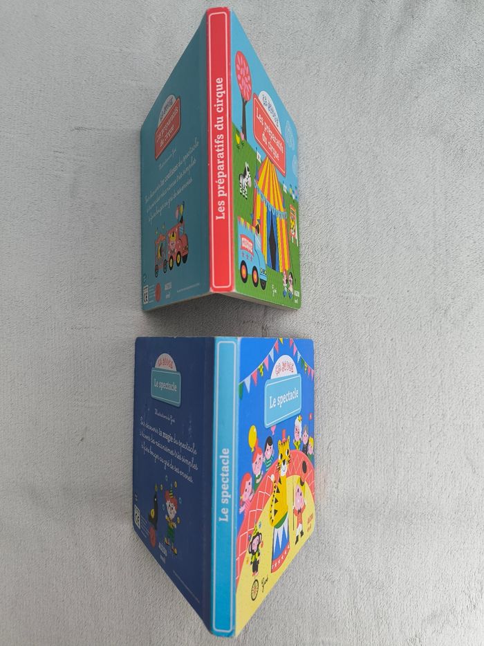Lot 2 livres Ça bouge Auzou - photo numéro 7