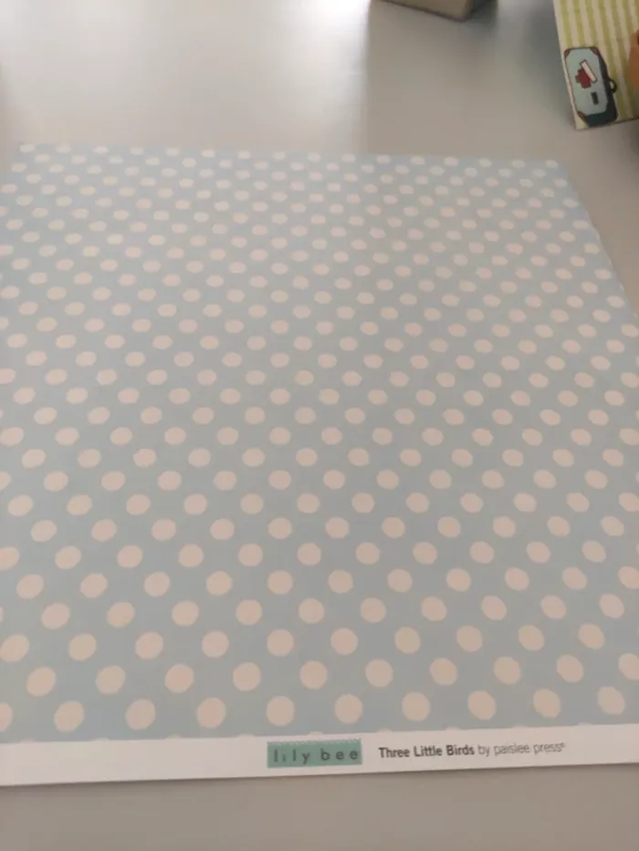 Papiers pour loisirs créatifs - photo numéro 10