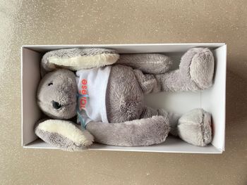Doudou Peluche Lapin MARESE 