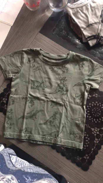 T shirt dino
