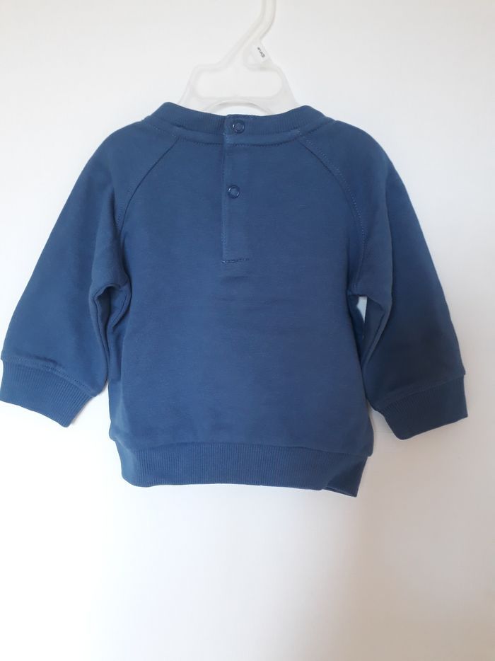 Sweat castor - photo numéro 3