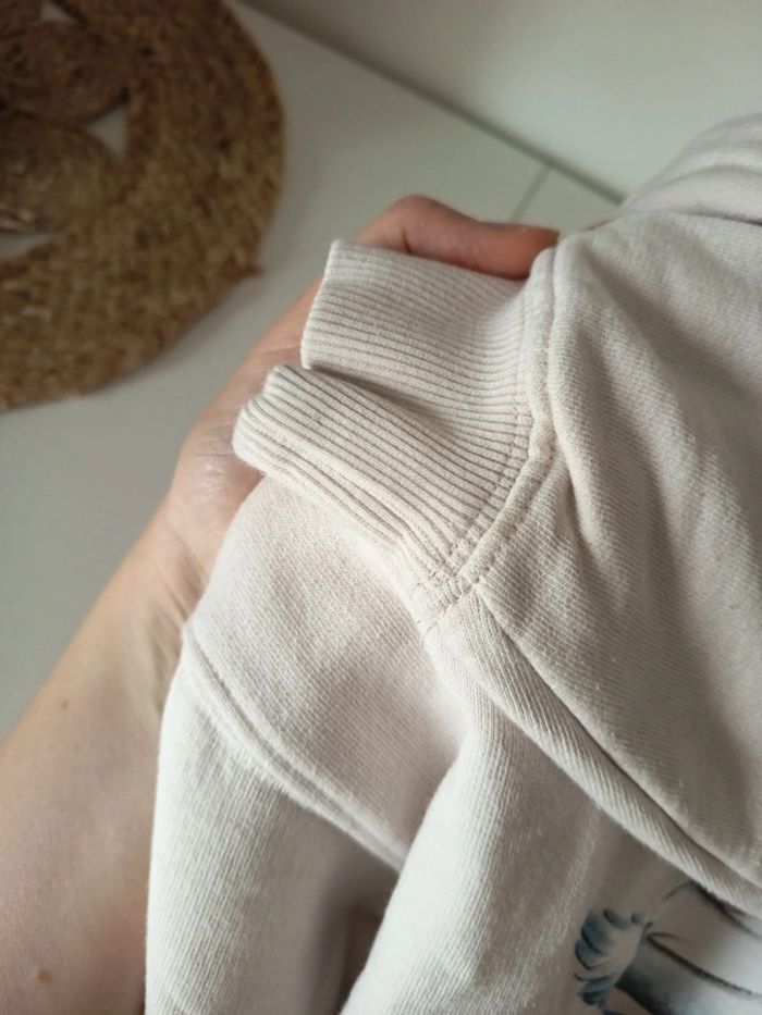 Sweat à capuche cygne - photo numéro 5