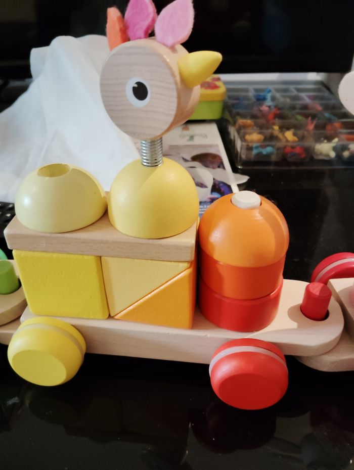 Train janod - photo numéro 2