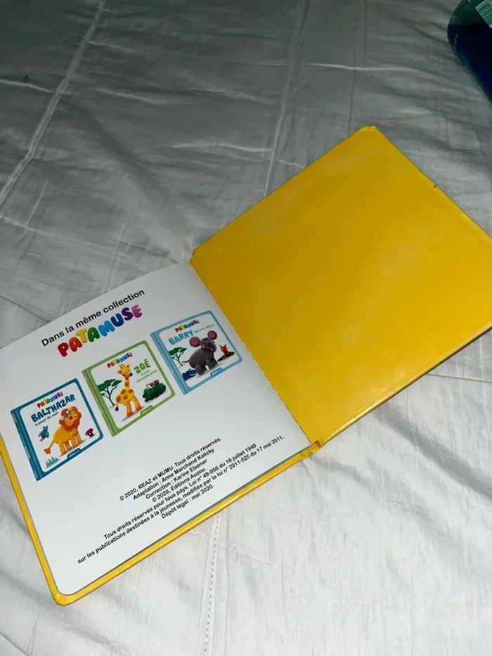 Livre - photo numéro 3