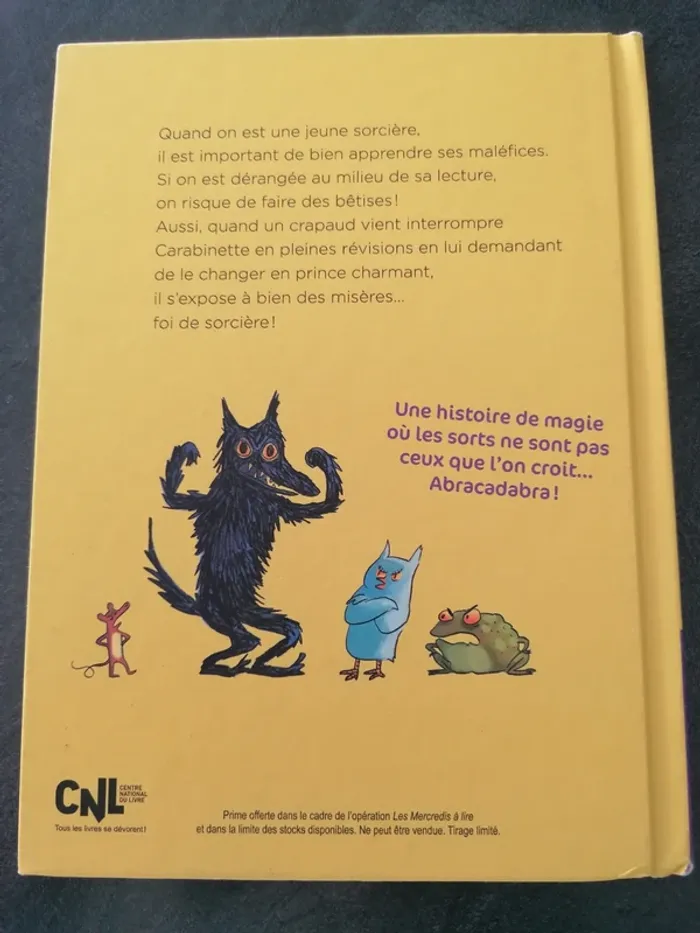 Livre Carabinette la petite sorcière qui n'en fait qu'à sa tête ! - photo numéro 4