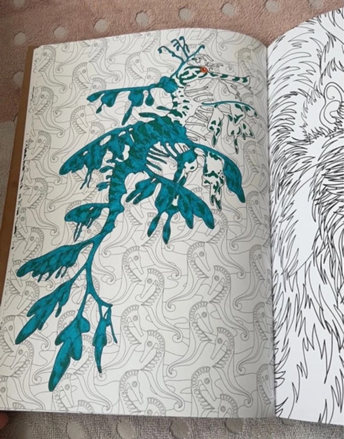 Livre coloriage nouveau bestiaire - photo numéro 5