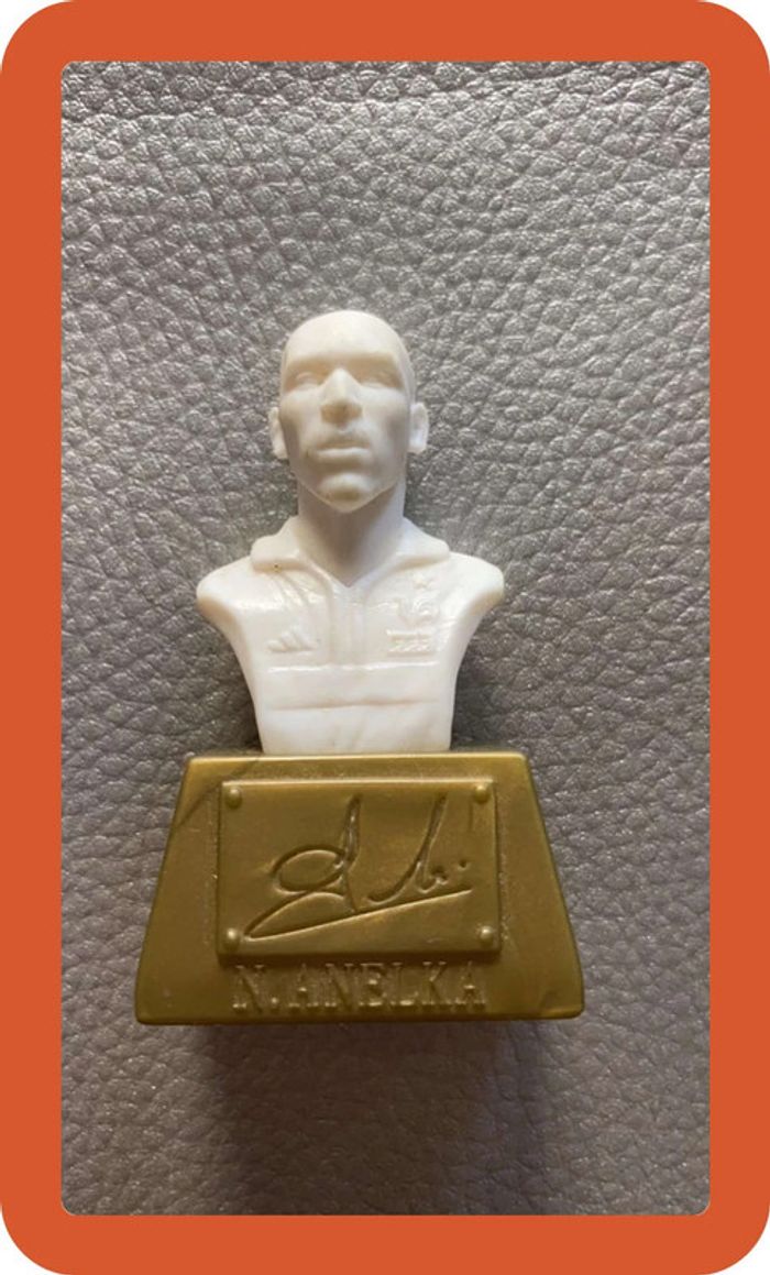 Buste anelka