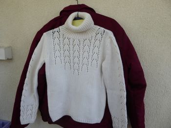 Pull col roulé femme