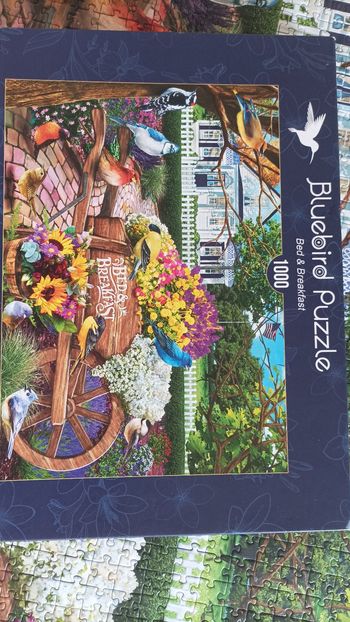 Puzzle 1 000 pièces