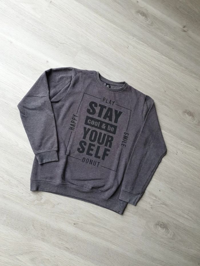 Sweat shirt 14 ans garçon - photo numéro 2