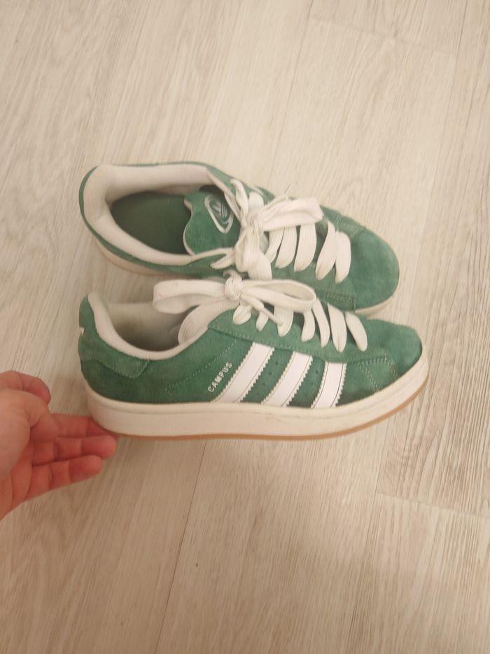 Gazelle verte T38 - photo numéro 5