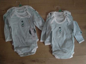 Lot de 6 bodies bout'chou BIO 12 mois