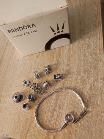 Bracelet Pandora avec charms + kit de nettoyage 