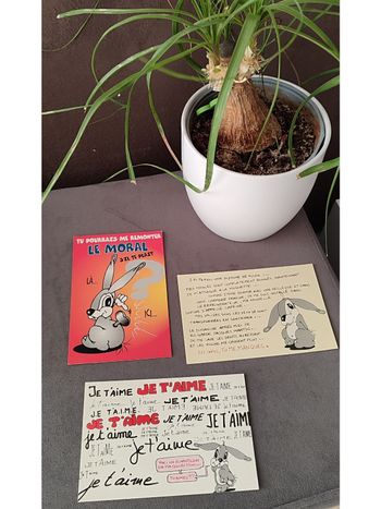 Lot de 3 cartes postales dessins de lapins