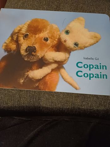 Livre copain copine