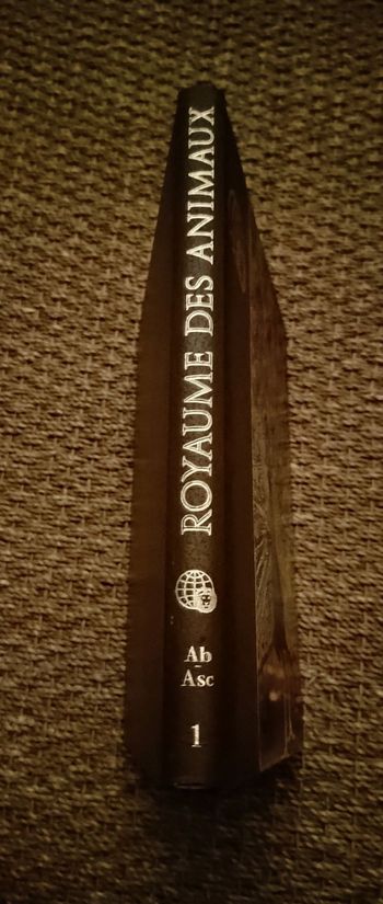 Le royaume des animaux