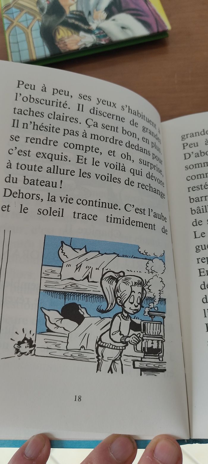 Saperli, le raton voyageur - photo numéro 2