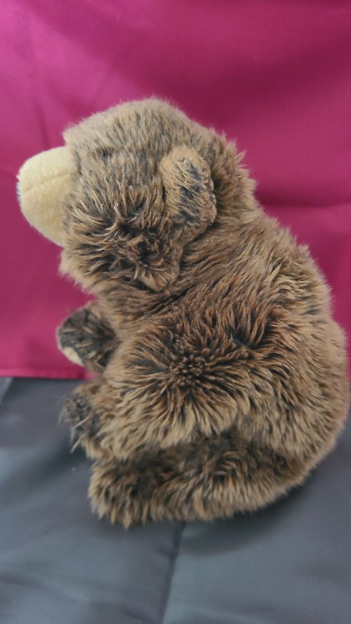 Ours en peluche brun Grizzly de Wild Republic - photo numéro 3