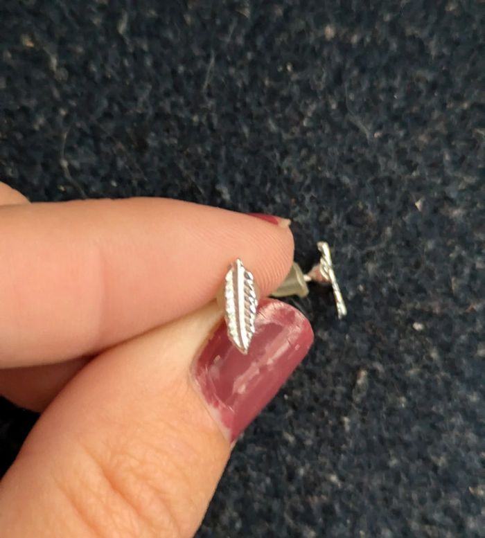 Puces d'oreilles plumes