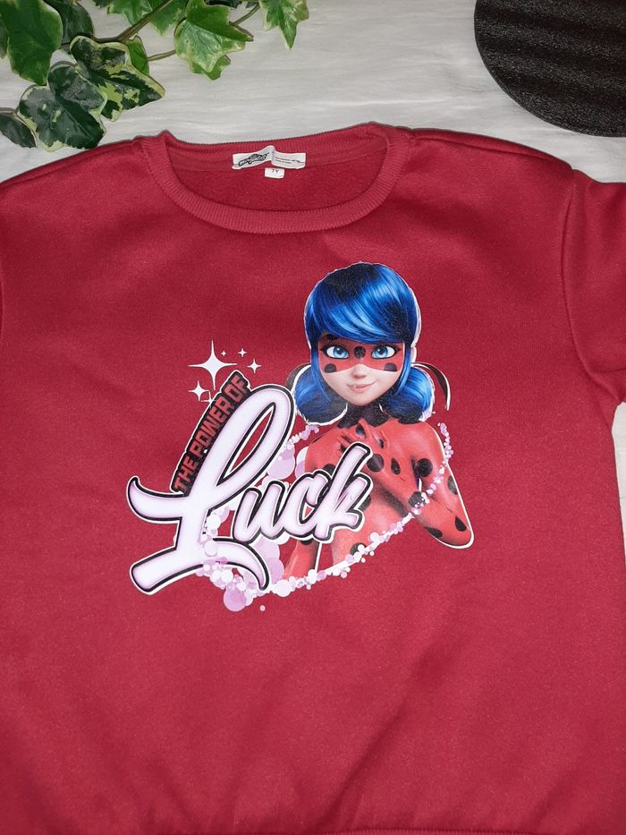 Pull Miraculous hiver 7ans fille 👧 en BE - photo numéro 2