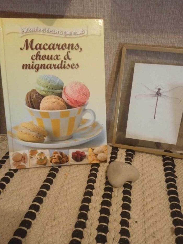 Livre de recettes macarons et choux et mignardises