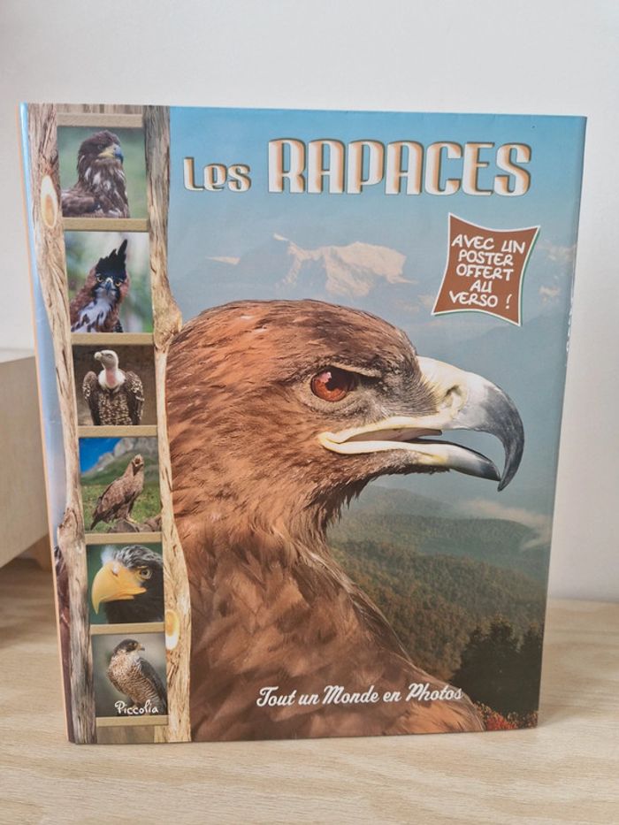 Livre Les rapaces