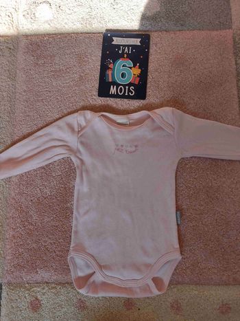 Bodie 6 mois absorba