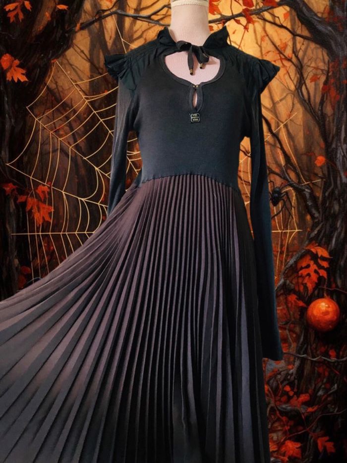 🖤🍁Robe d’automne whimsigoth witchy dark romantic style Cop Copine dress🍁🤎