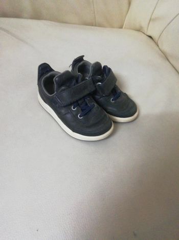 Chaussures timberland marine