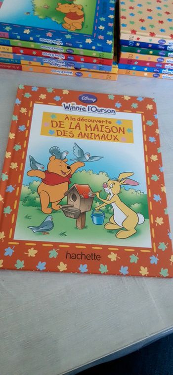 Livre Winnie l'ourson