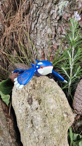Super figurine Pokemon nintendo tomy Kyogre 