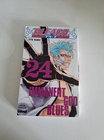 Bleach 24