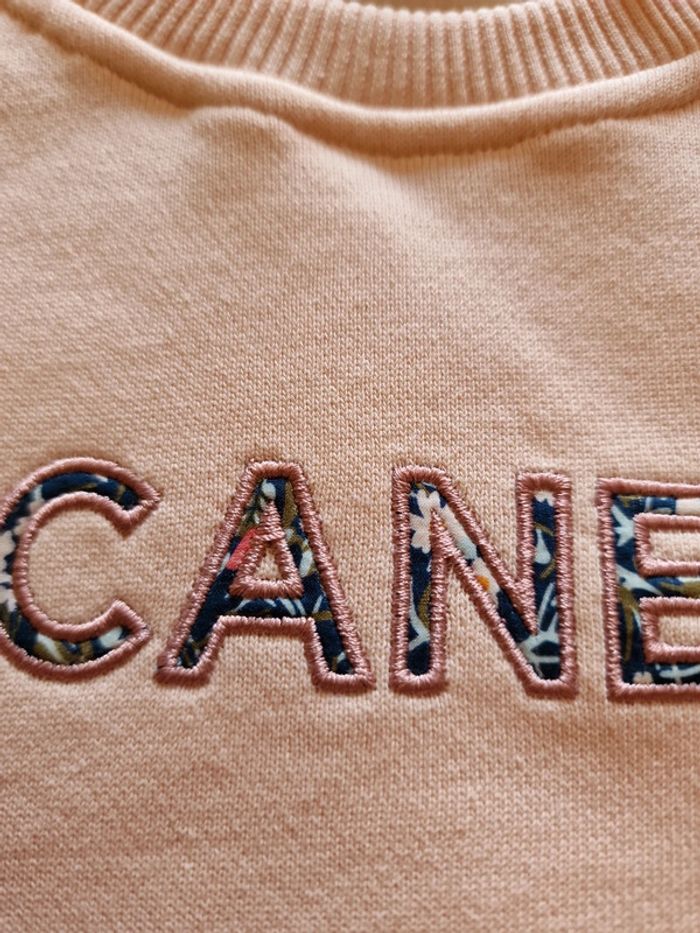 Ensemble mi canesu - photo numéro 7