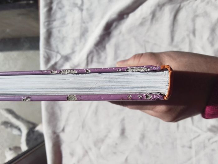 Mon abecedaire - photo numéro 5