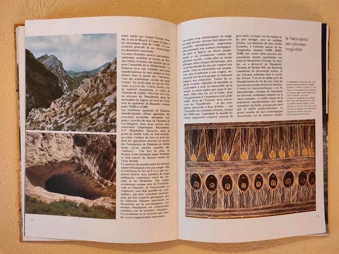 Préhistoire - photo numéro 3