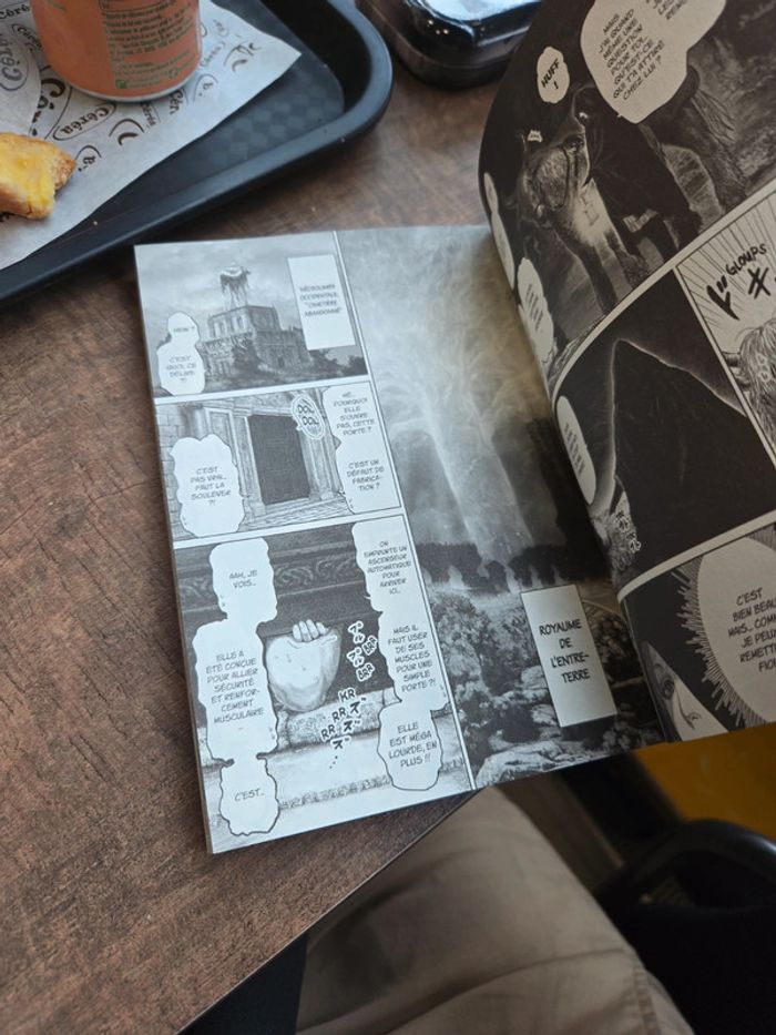 Manga elden ring - photo numéro 3