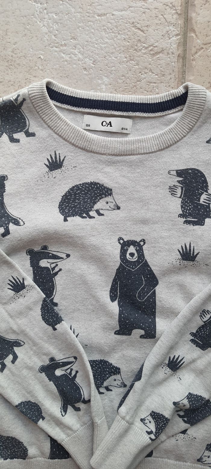 Pull animaux 8 ans - photo numéro 2