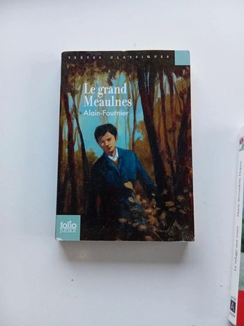 Livre Le Grand Meaulnes