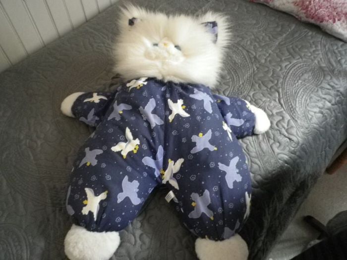 PELUCHE CHAT