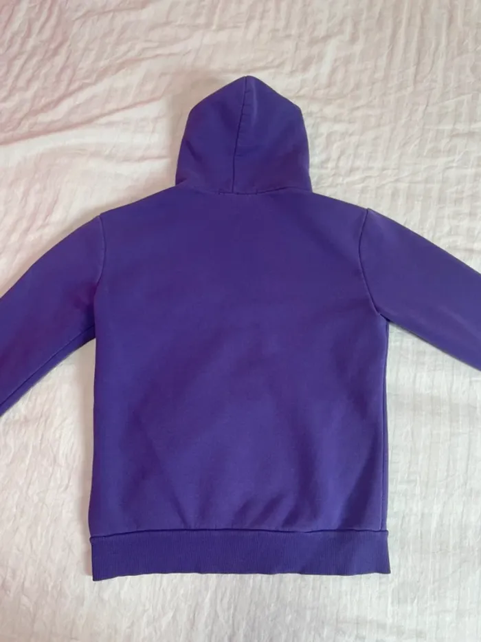 Sweat zip à capuche y2k - photo numéro 3
