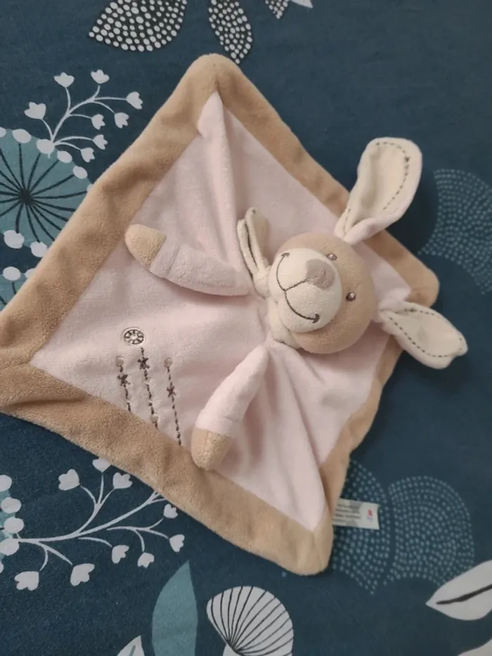 Lapin plat rose - photo numéro 2